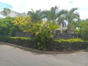 IMG-20250205-WA0112
